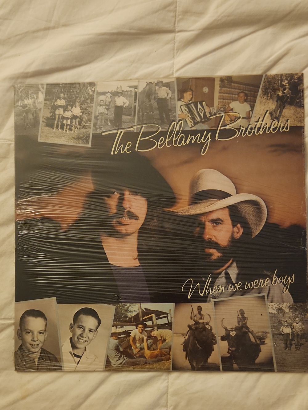 When We Were Boys Vinyl Record - Brown/Tan